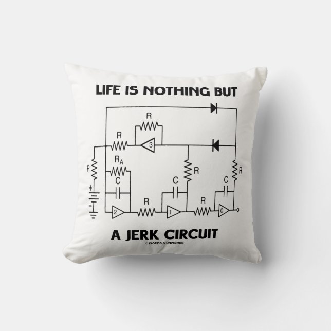 Life Is Nothing But A Jerk Circuit Physics Humour Cushion (Front)