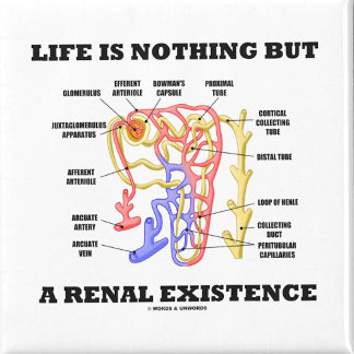 Life Is Nothing But A Renal Existence Magnet