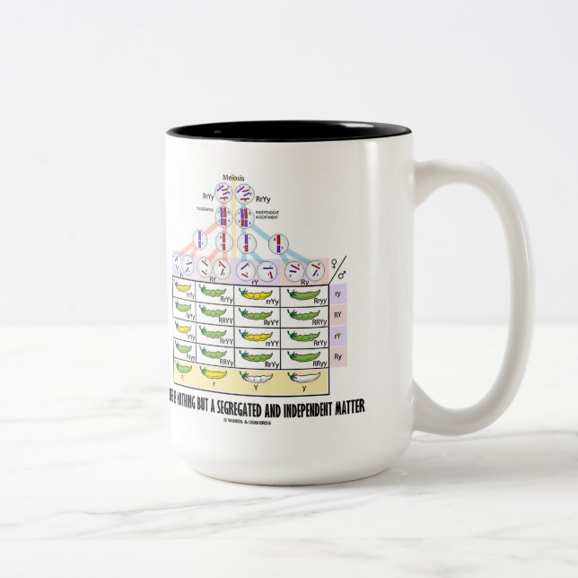 Life Is Nothing But A Segregated Independant Two-Tone Coffee Mug (Right)