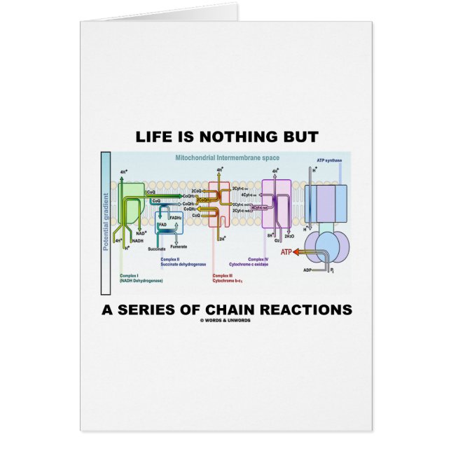 Life Is Nothing But A Series Of Chain Reactions (Front)