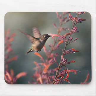 Life Is Sweet Mouse Mat