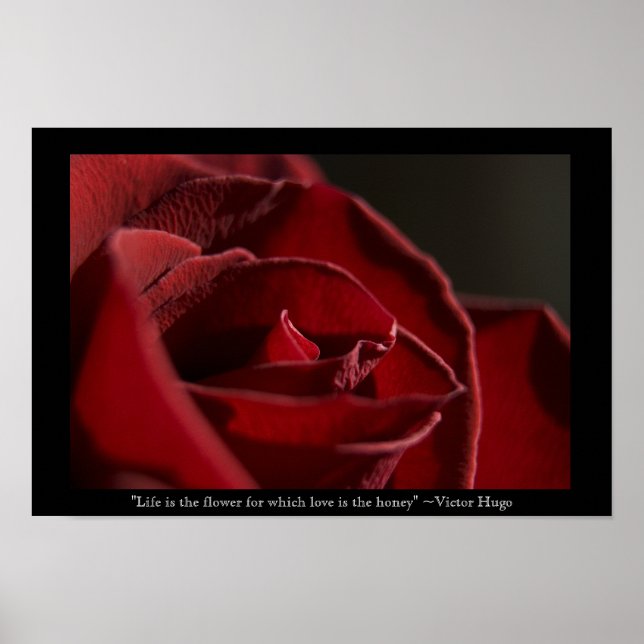 Life is the Flower - Red Rose Poster (Front)