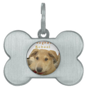 "Life is the Toughest School" Dog Art Print Pet ID Tag