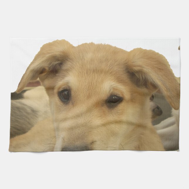 "Life is the Toughest School" Dog Art Print Tea Towel (Horizontal)