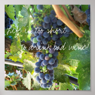 Life is too short...to drink bad wine! poster