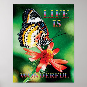 "Life is wonderful" inspirational life quote Poster