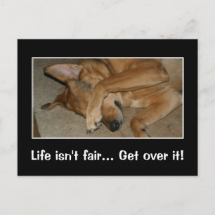 Life isn't fair to anyone you big crybaby postcard