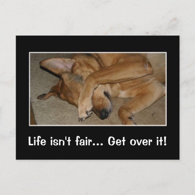 Life isn't fair to anyone you big crybaby postcard (Front)