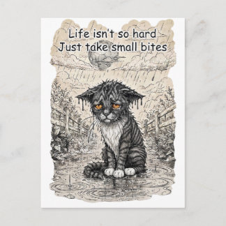 "Life isn't so hard, just take small bites" kitten Postcard