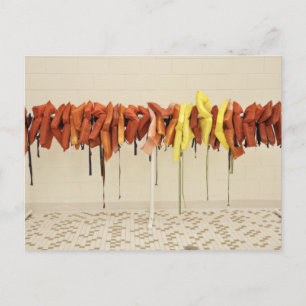 Life Jackets Postcard