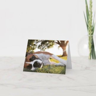 Life Kicking Your Tail Too? Boxer Note Card