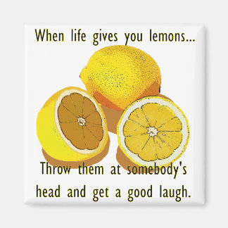 Life Lemons Dark Humour Funny Yellow Fruit Magnet