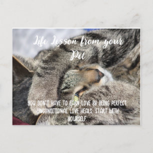 Life Lesson from your Pet Motivational  Holiday Postcard
