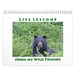 Life Lessons Animal Calendar 2016