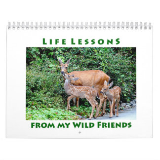 Life Lessons Animal Wall Calendar
