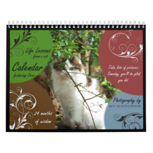 Life Lessons from a Cat Calendar