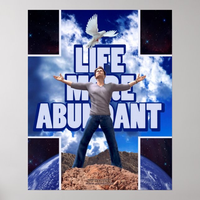 Life More Abundant - 20 x 16 Poster (Front)
