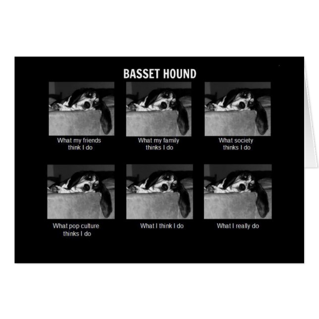 Life of a Basset (Front Horizontal)