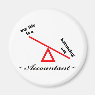 Life of an Accountant Magnet