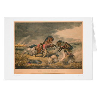 Life on Prairie: Trapper's Defence (0879A)
