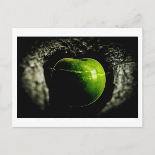 life on the apple postcard