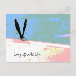 Life on the Edge Postcard