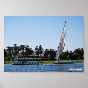 Life on the Nile Poster