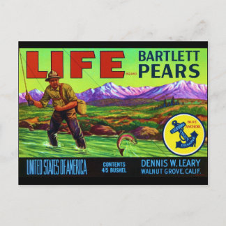 Life Pears Postcard