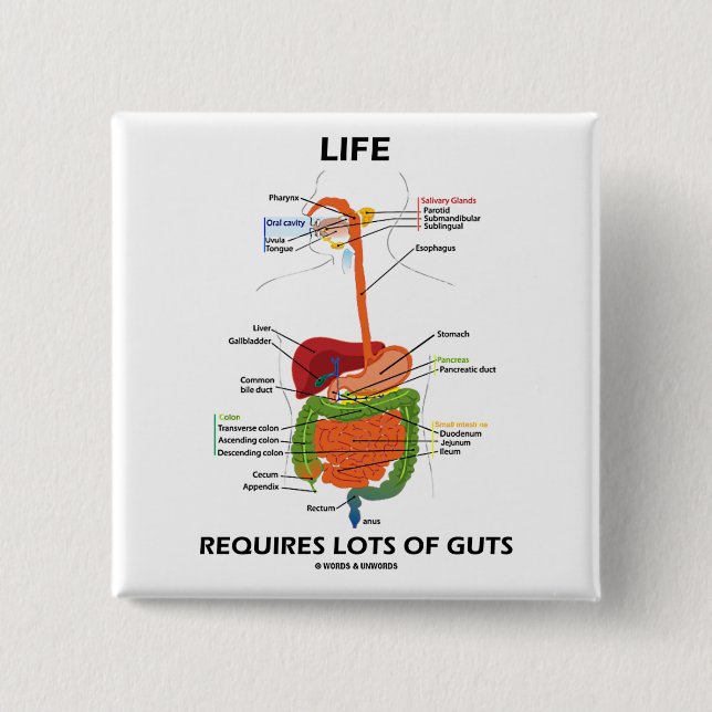 Life Requires Lots Of Guts (Digestive System) 15 Cm Square Badge (Front)
