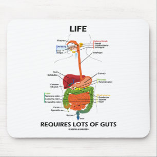 Life Requires Lots Of Guts (Digestive System) Mouse Mat
