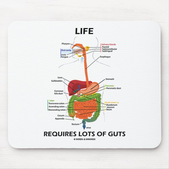 Life Requires Lots Of Guts (Digestive System) Mouse Mat (Front)
