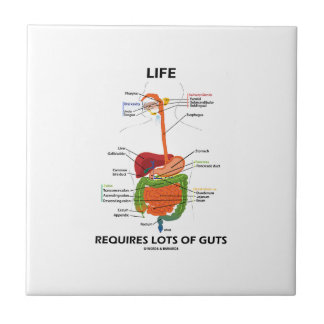 Life Requires Lots Of Guts (Digestive System) Tile
