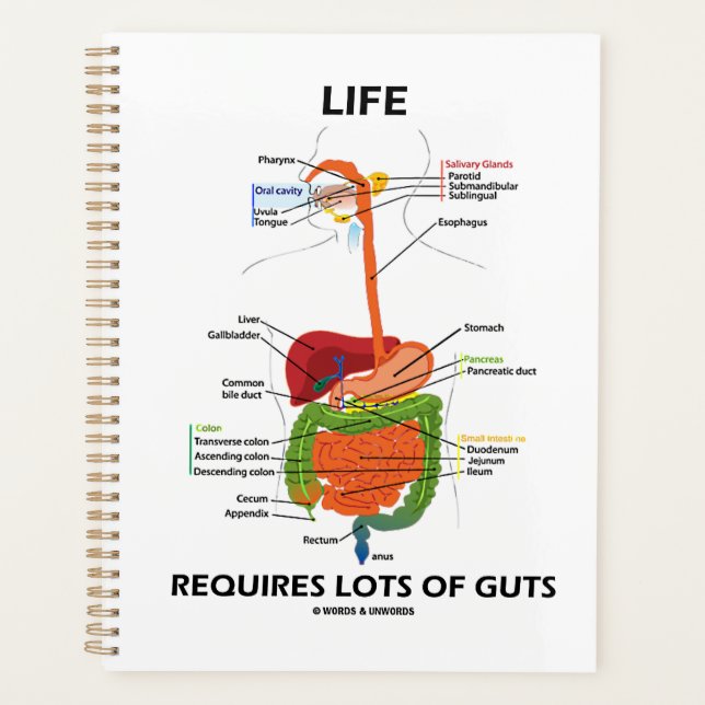 Life Requires Lots Of Guts Gastroenterology Humour Planner (Front)
