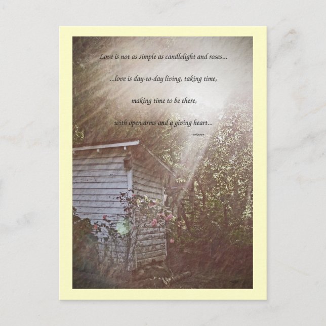 Life Shines PostCard (Front)