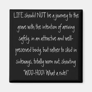 LIFE should NOT be a journey to the grave with ... Magnet