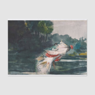 Life-Size Black Bass by Winslow Homer Tissue Paper