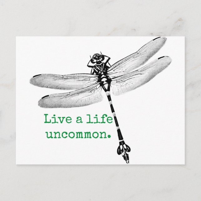 Life Uncommon Dragonfly Postcard (Front)