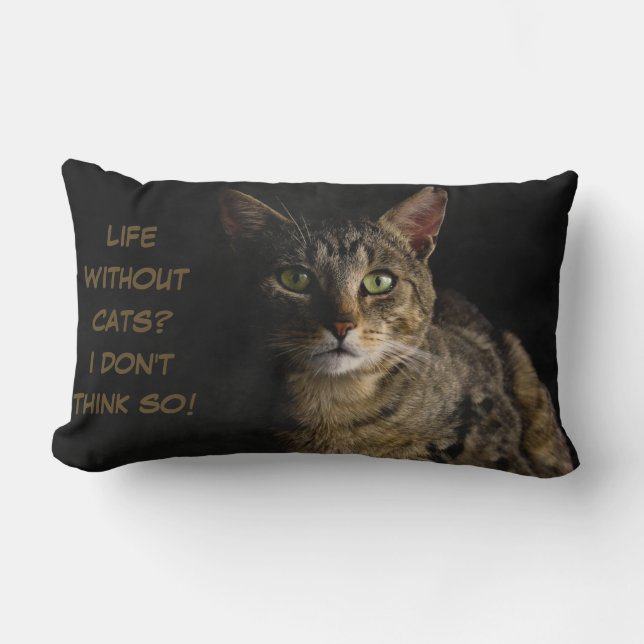 Life without cats? I don’t think so! custom funny Lumbar Cushion (Front)