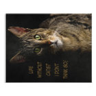 Life without cats? I don’t think so! custom funny 