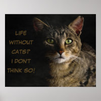 Life without cats? I don’t think so! custom funny