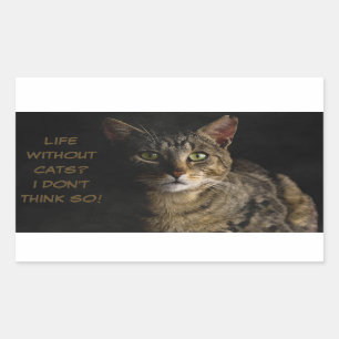 Life without cats? I don’t think so! custom funny Rectangular Sticker