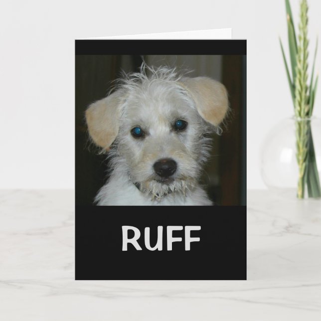 Life Would Be RUFF Without A Friend Like You Card (Front)