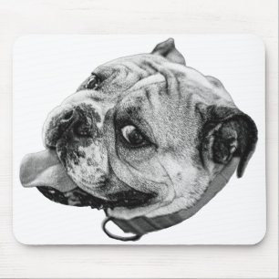 Lifelike Desk Friend Mouse Mat