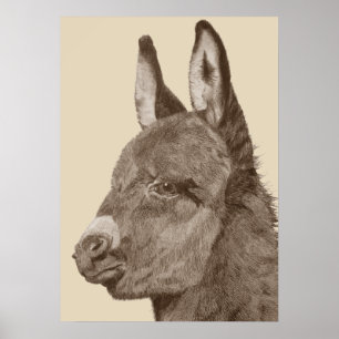 lifelike pencil drawing of cute donkey poster