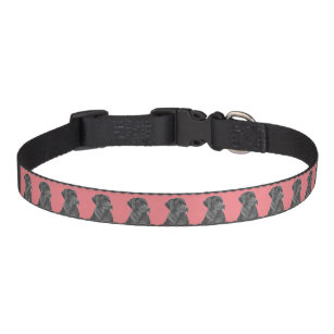 lifelike portrait picture of black labrador pink pet collar