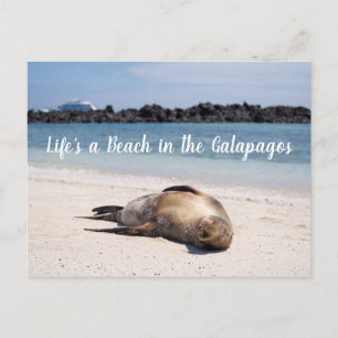 Life's a Beach in the Galapagos Postcard