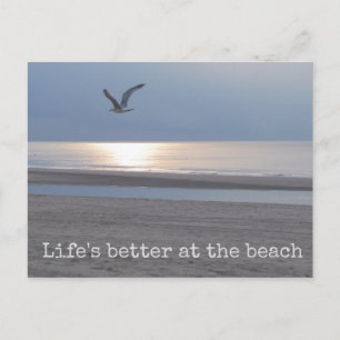 Life's better at the beach - Fun Quote Postcard