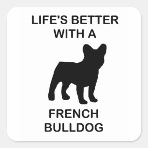 lifes better with a french bulldog square sticker