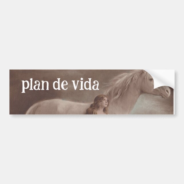 Life's purpose Follow your purpose  plan de vida  Bumper Sticker (Front)