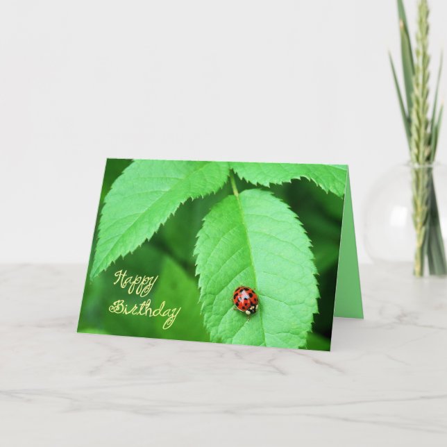 Life's Simple Pleasures-ladybug Holiday Card (Front)